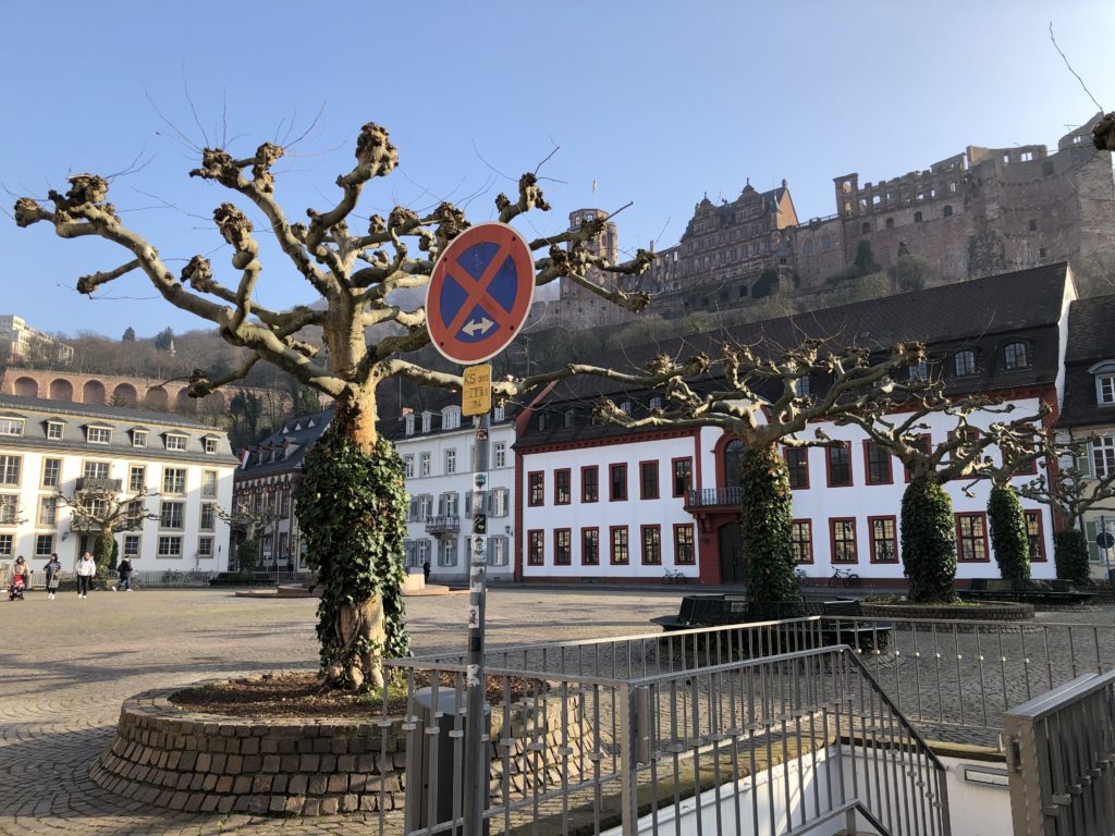 Auf den Spuren des Heidelbär - Mit dem Wohnmobil nach Heidelberg 13