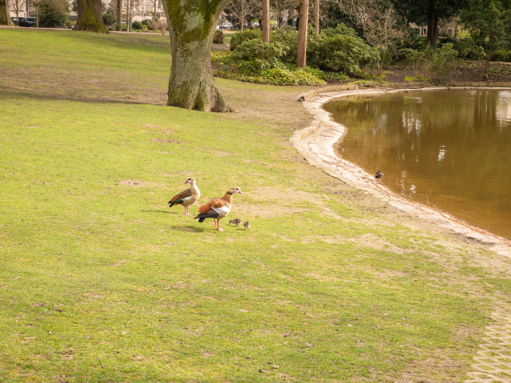 Park Wiesbaden