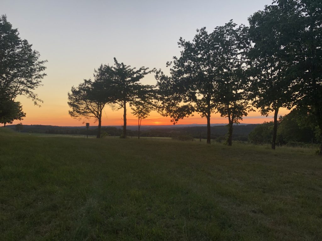 Frei stehen im Grünen