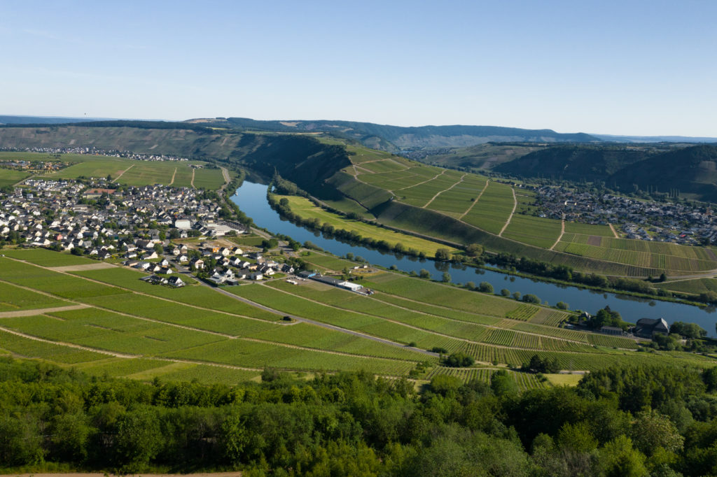 Frei stehen an der Mosel