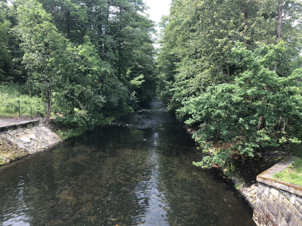 Frühstück in Plauen