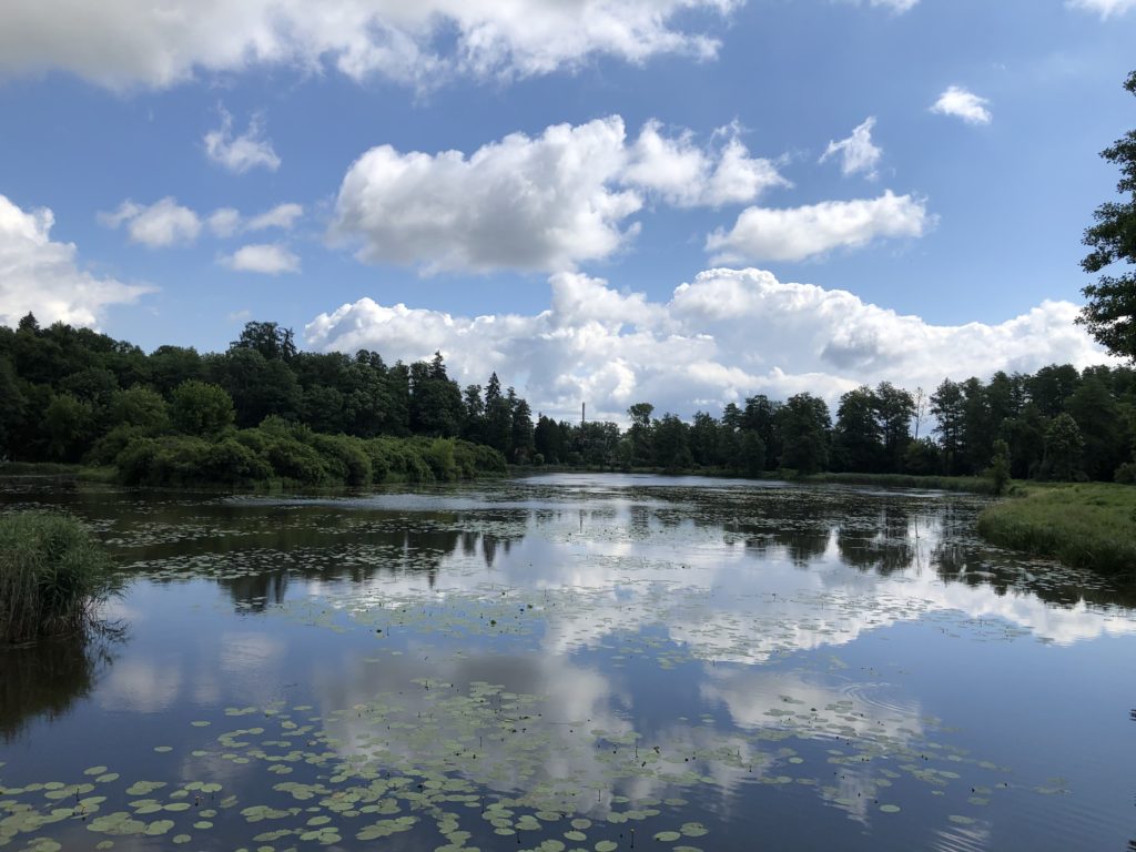 Camping Białowieża-Nationalpark