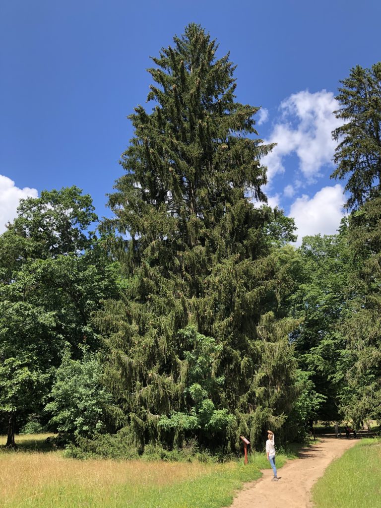 Camping Białowieża-Nationalpark