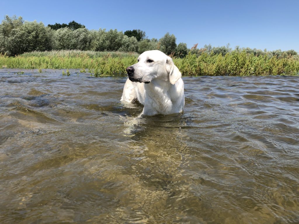 freistehen in Polen