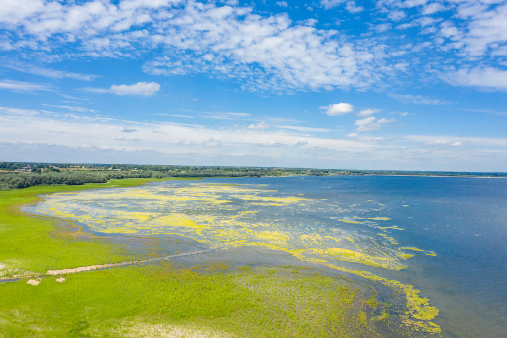 Polen am Badesee