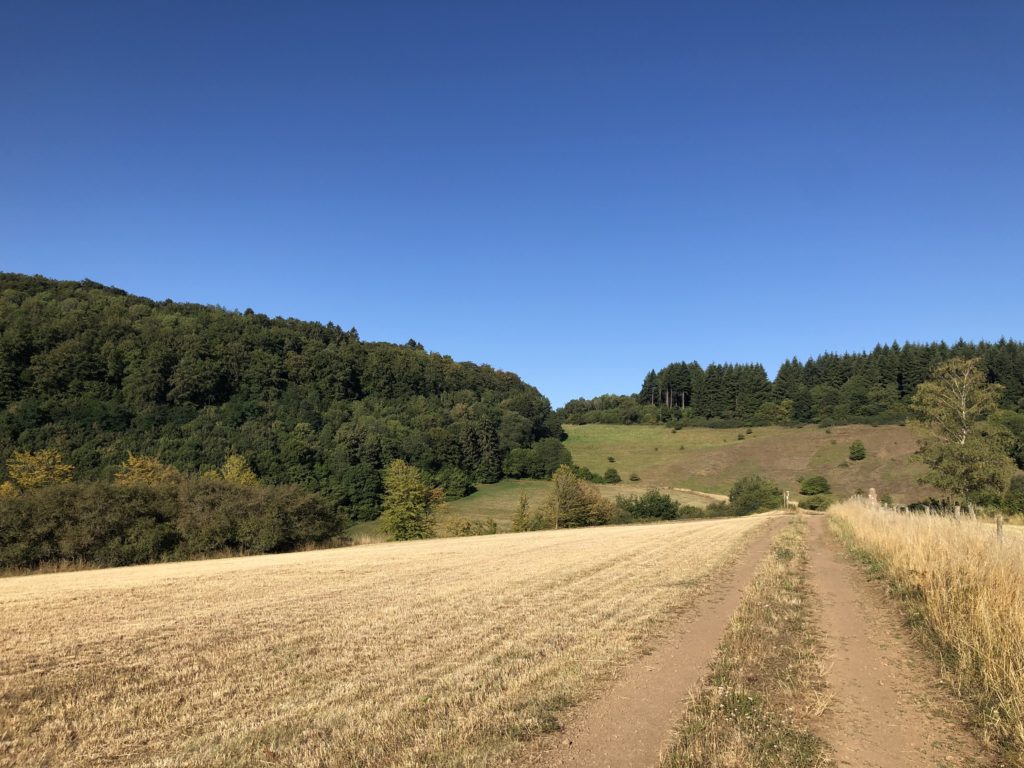 Eifel Wohnmobil