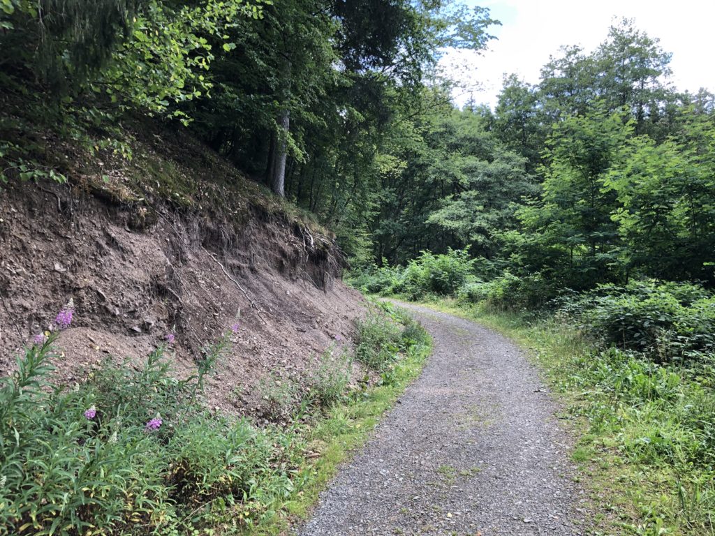 Wandern in der Vulkaneifel