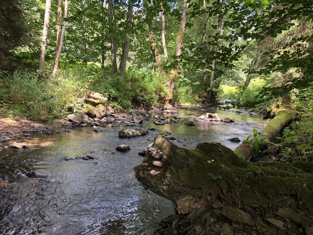 Wandern in der Vulkaneifel