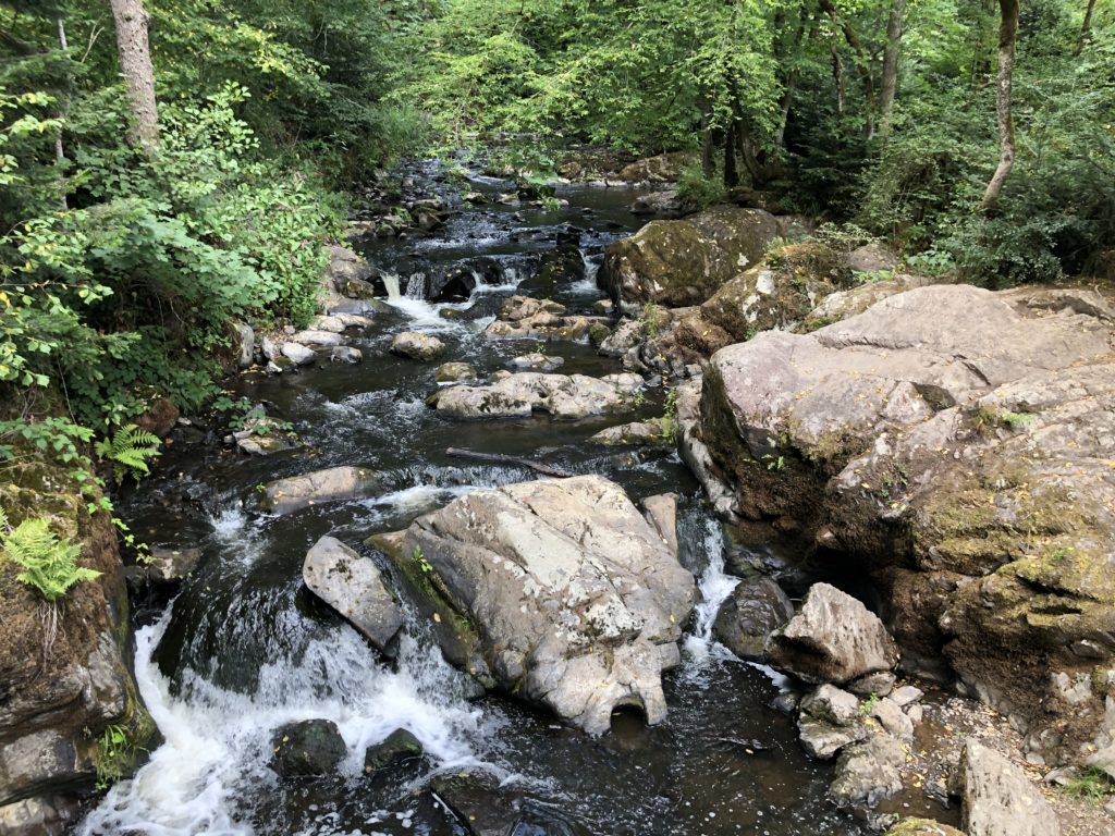 Wandern in der Vulkaneifel