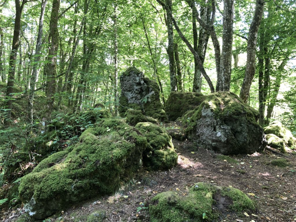 Wandern in der Vulkaneifel