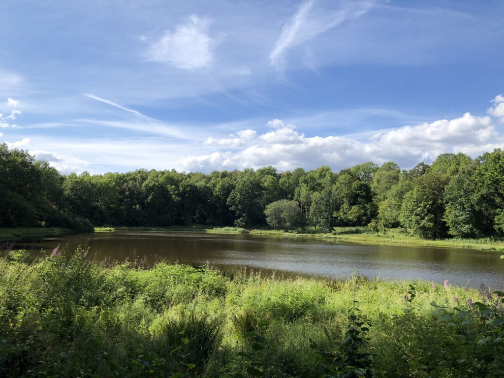 Wandern in der Vulkaneifel