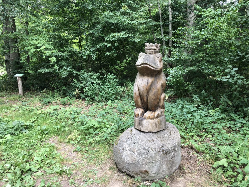 Holzmaar Vulkaneifel