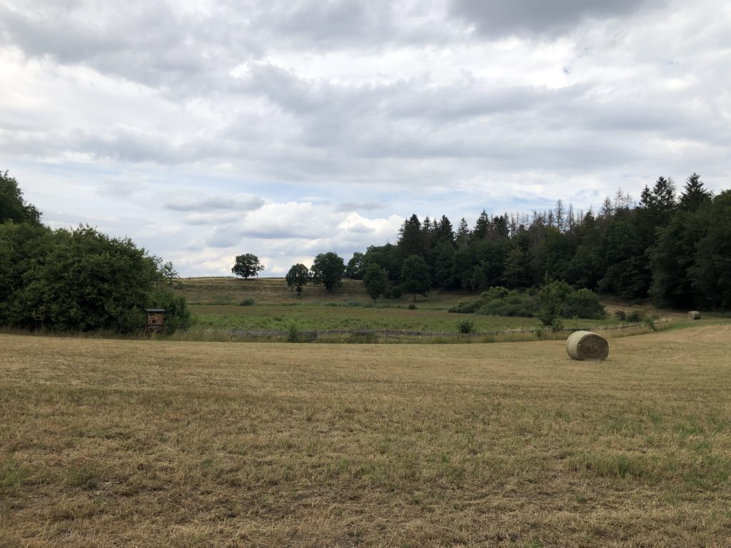 Holzmaar Vulkaneifel