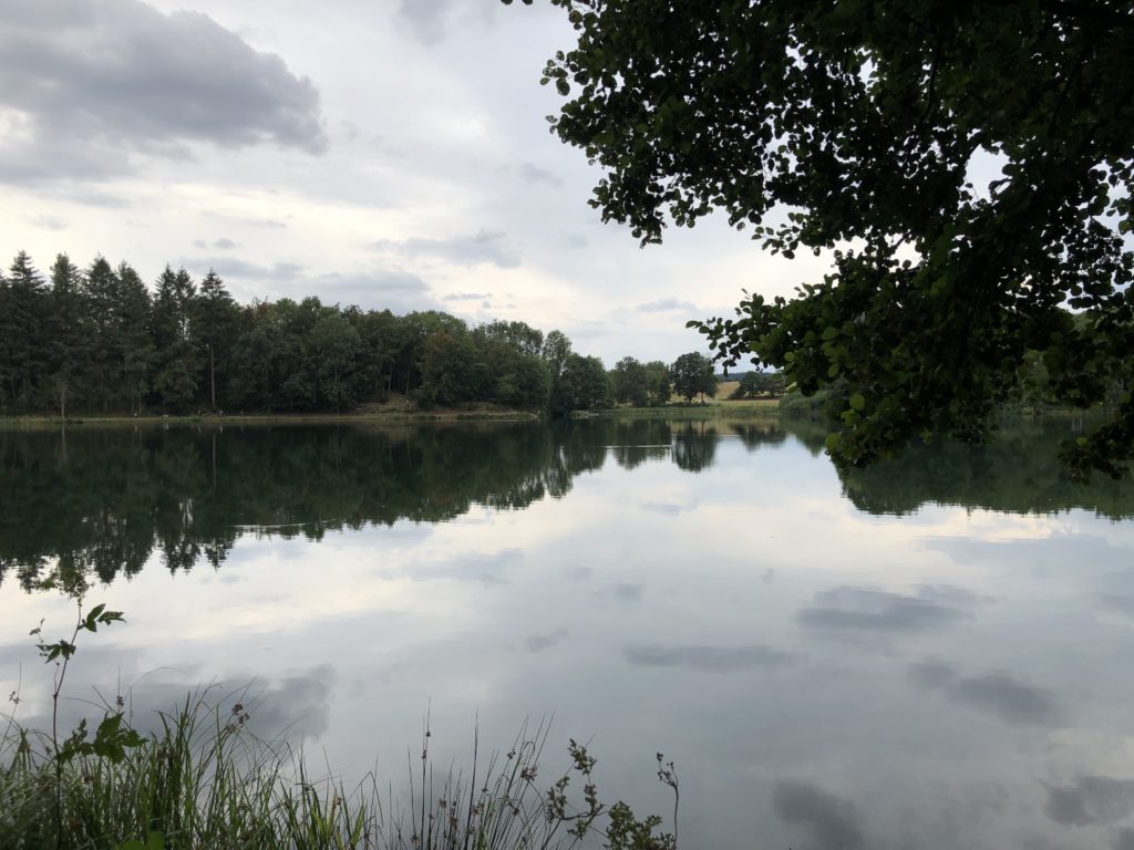 Holzmaar Vulkaneifel