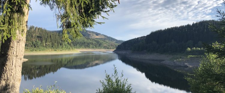 Wir waren im Harz – Mit dem Wohnmobil ins Gebirge Wir waren im Harz – Mit dem Wohnmobil ins Gebirge