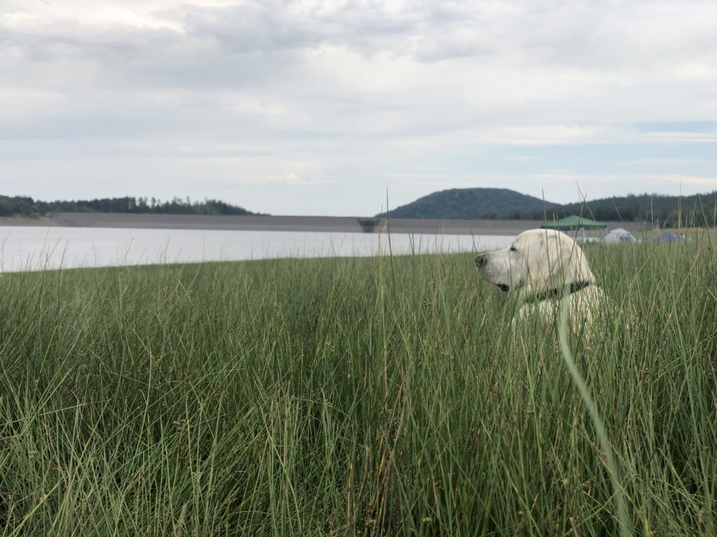 Harz Innerstetalsperre