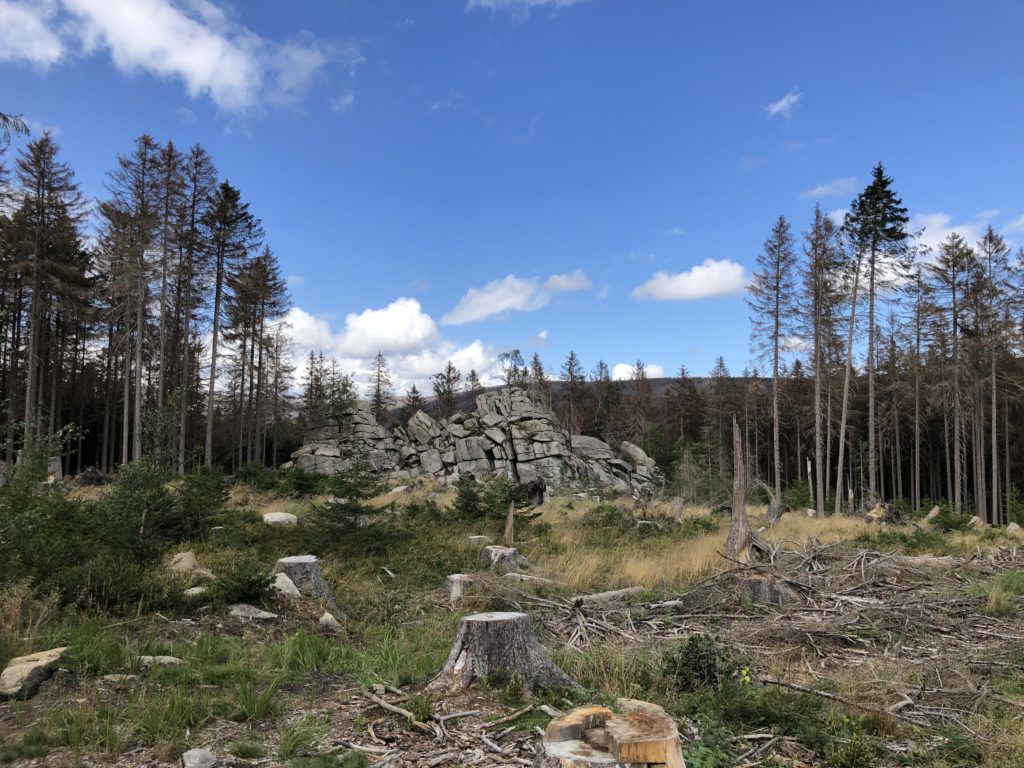 Wandern im Harz