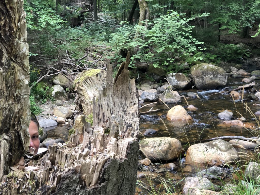 Wandern im Harz