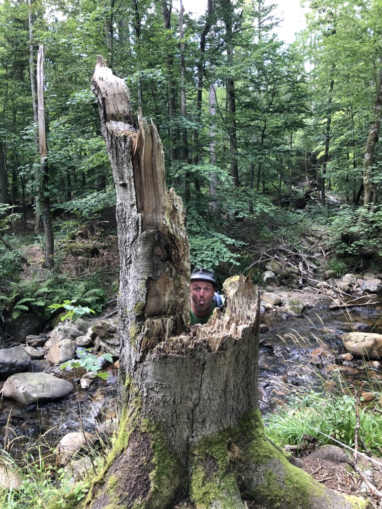 Wandern im Harz