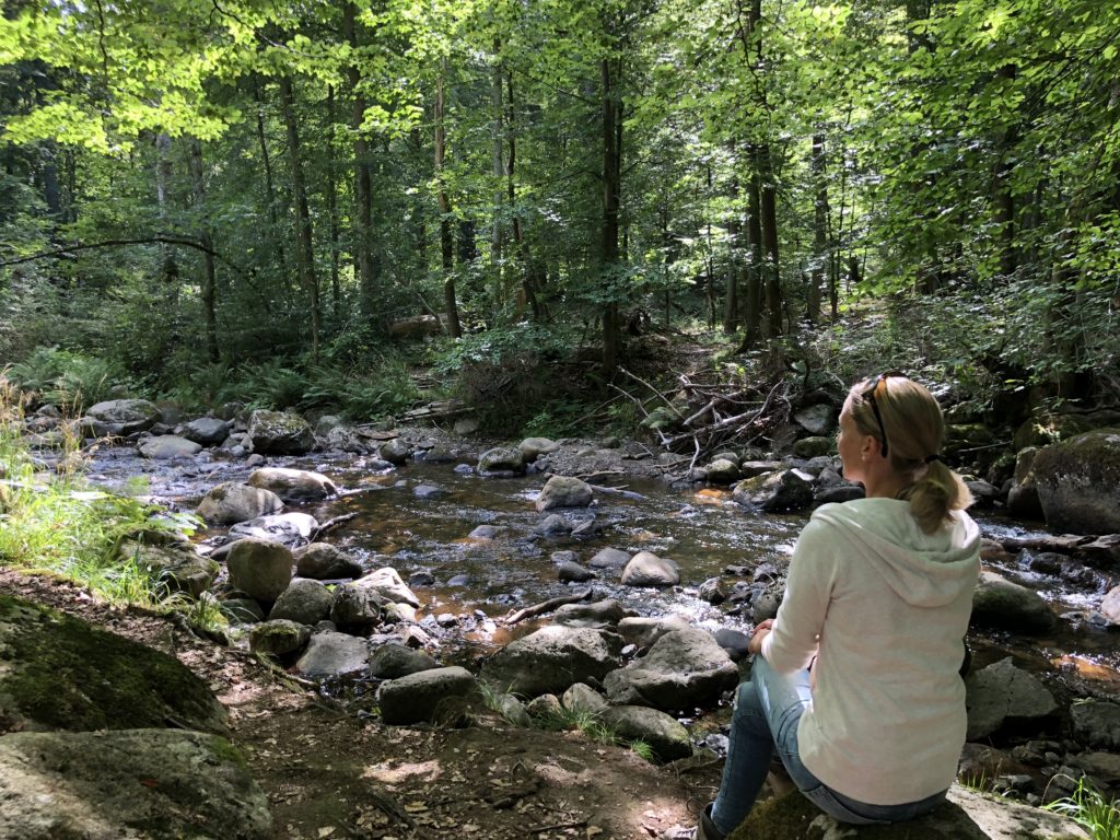 Wandern im Harz