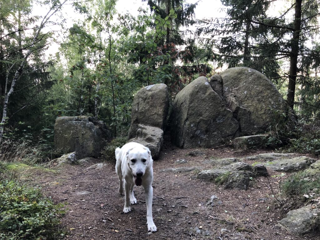 Wandern im Harz