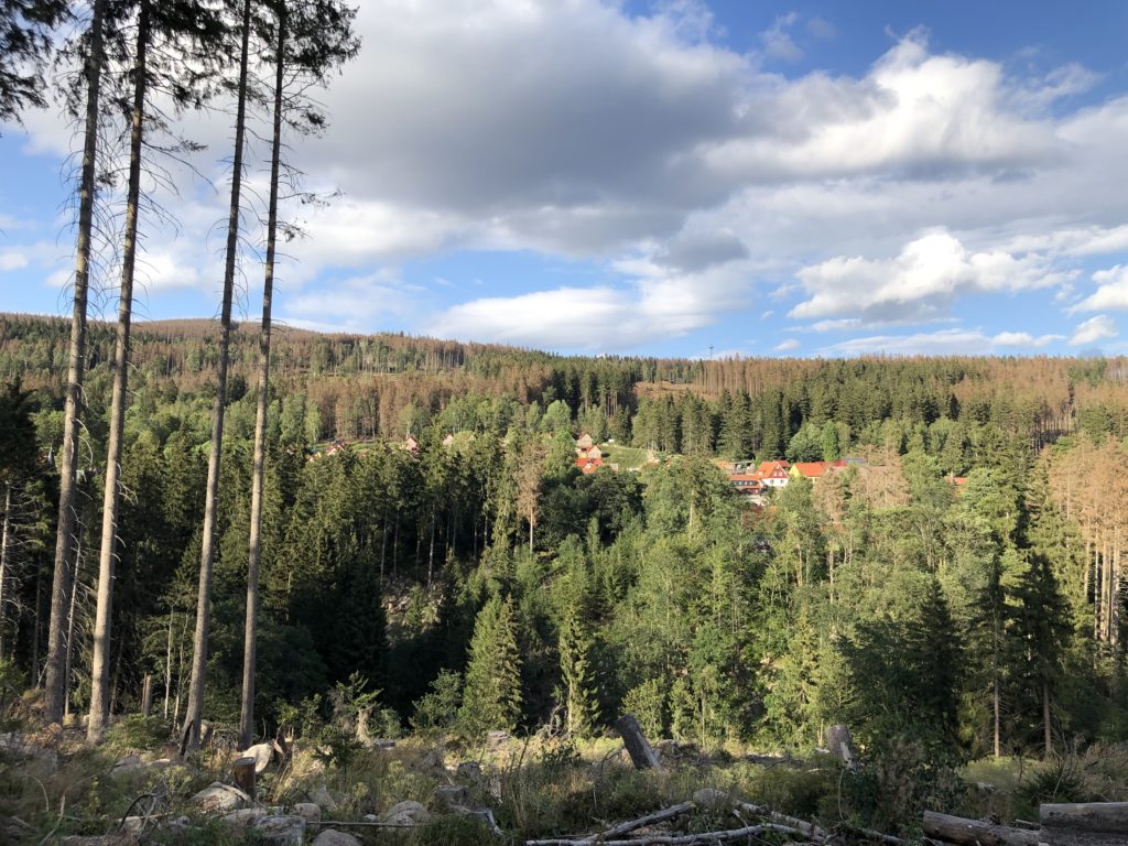 Wandern im Harz