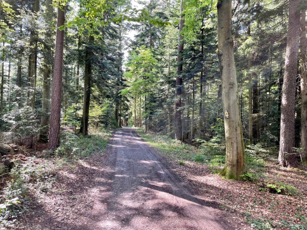 Wohnmobil Schwarzwald freistehen