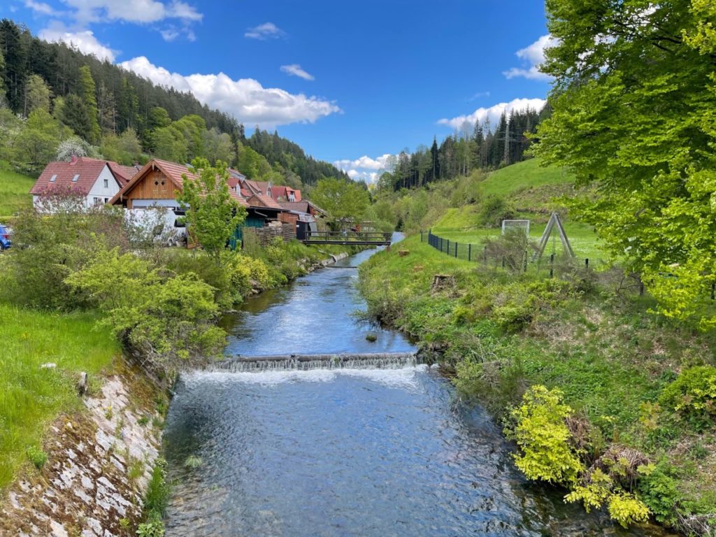 Wohnmobil Schwarzwald freistehen