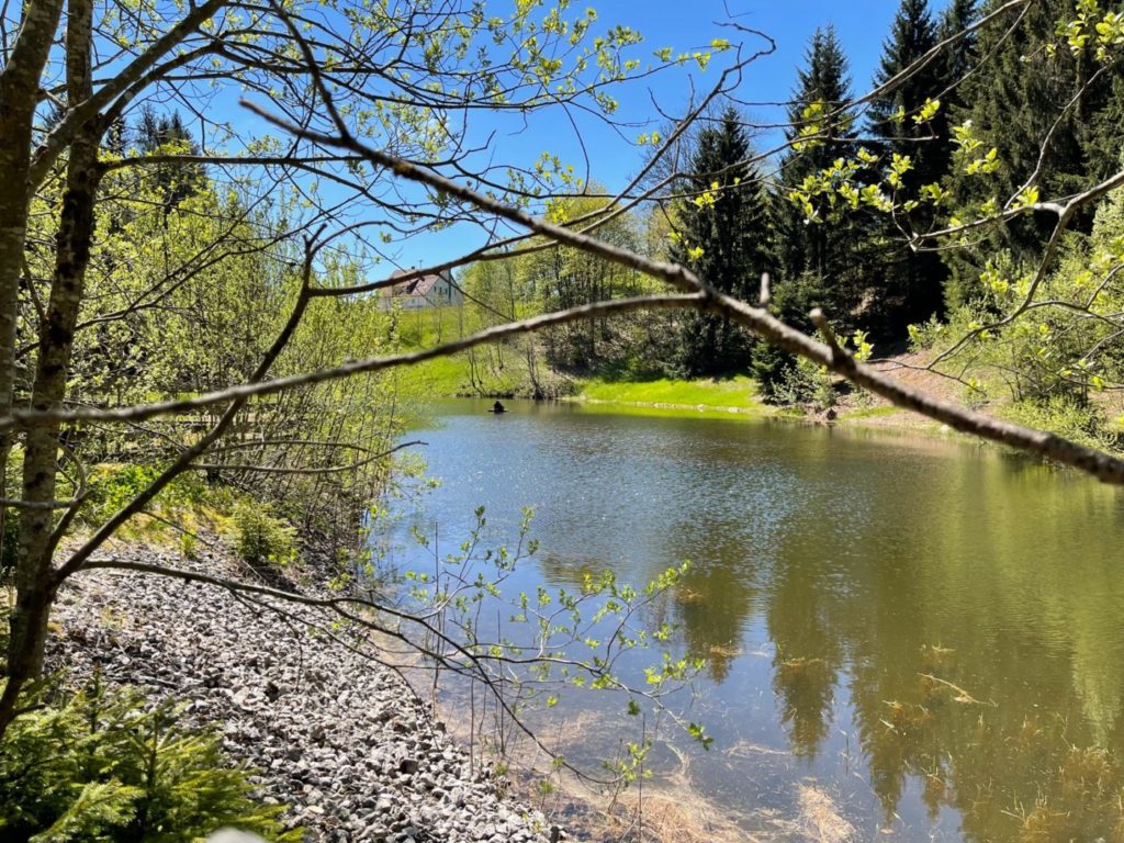 Wohnmobil Schwarzwald freistehen