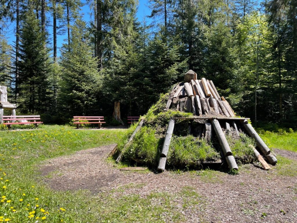 Wohnmobil Schwarzwald freistehen