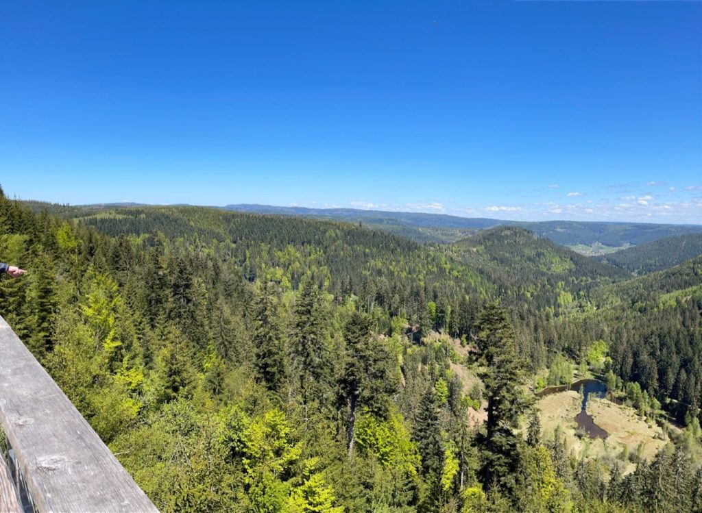 Wohnmobil Schwarzwald freistehen