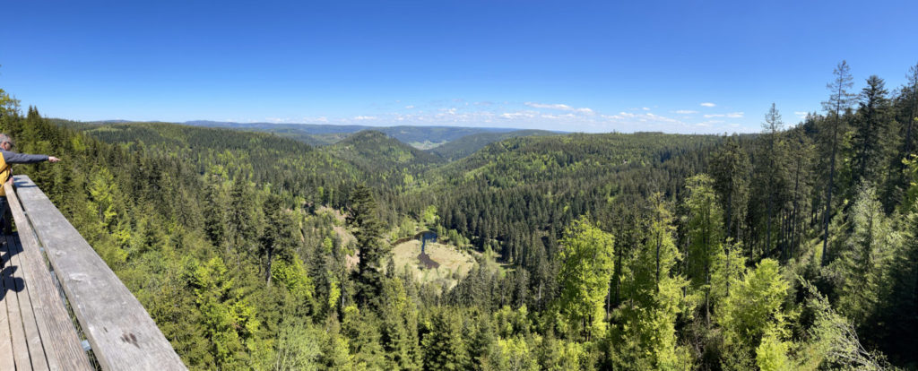 Wohnmobil Schwarzwald freistehen