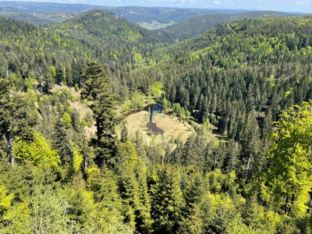 Wohnmobil Schwarzwald freistehen