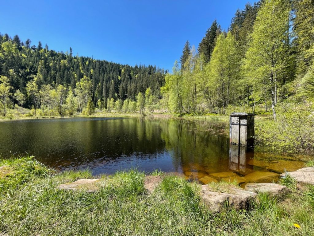 Wohnmobil Schwarzwald freistehen