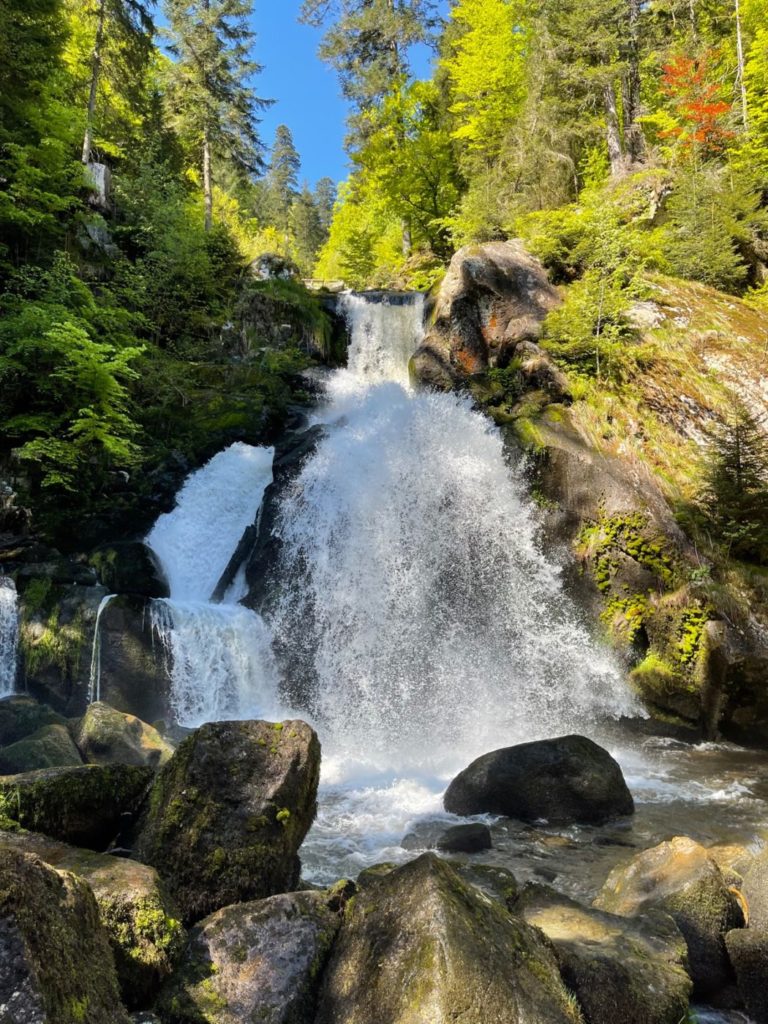 Wohnmobil Schwarzwald freistehen