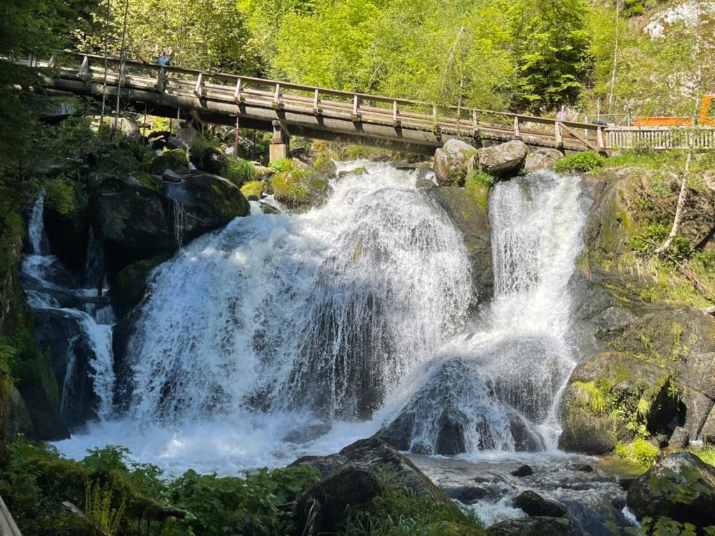 Wohnmobil Schwarzwald freistehen