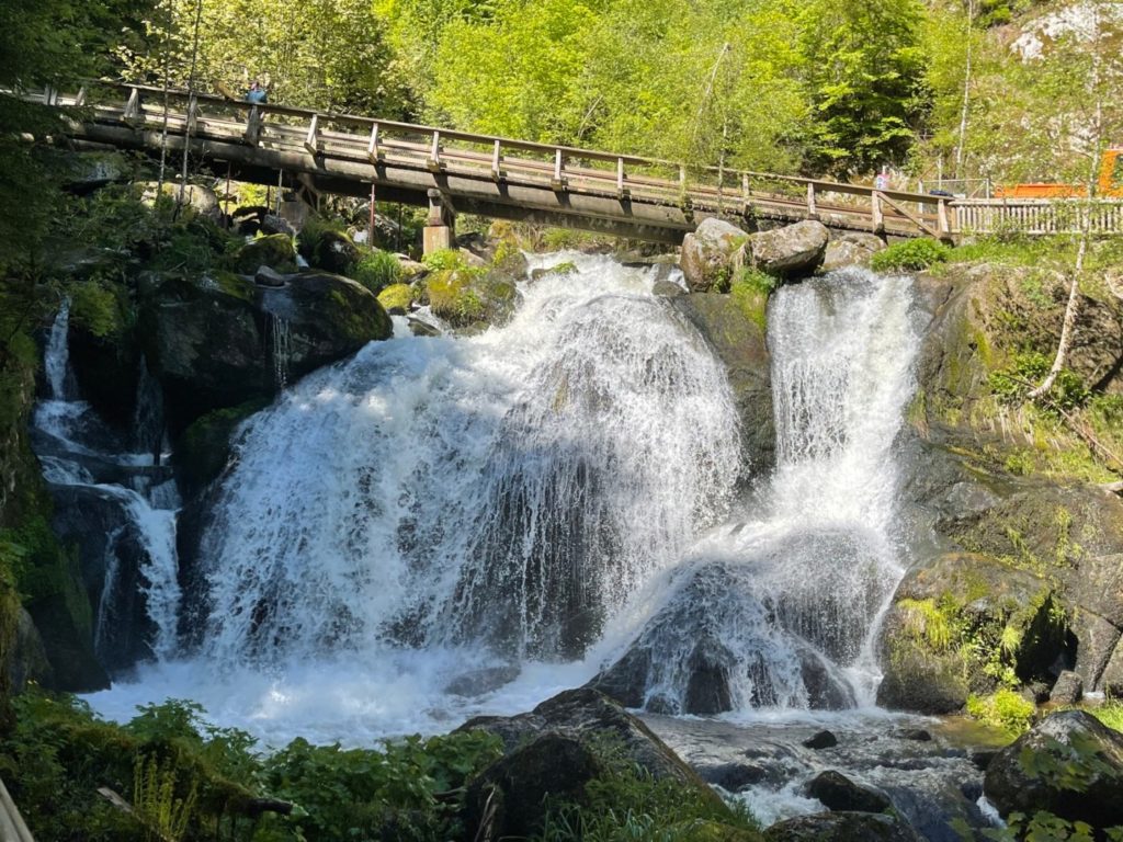 Wohnmobil Schwarzwald freistehen