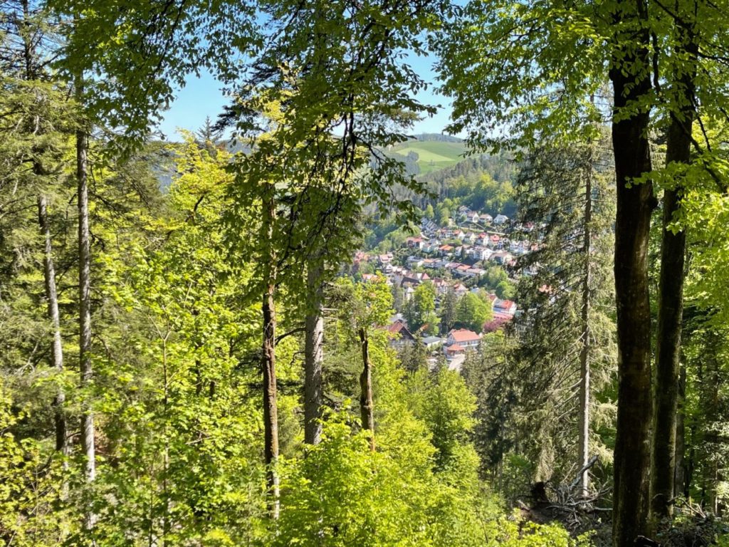 Wohnmobil Schwarzwald freistehen