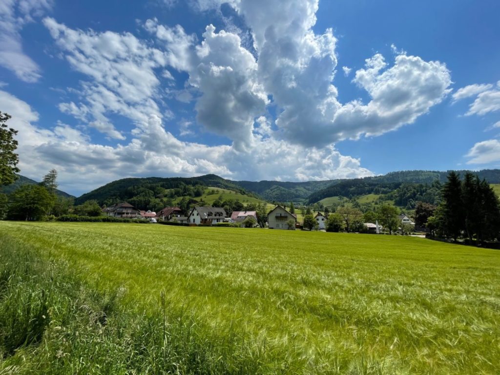 Wohnmobil Schwarzwald freistehen