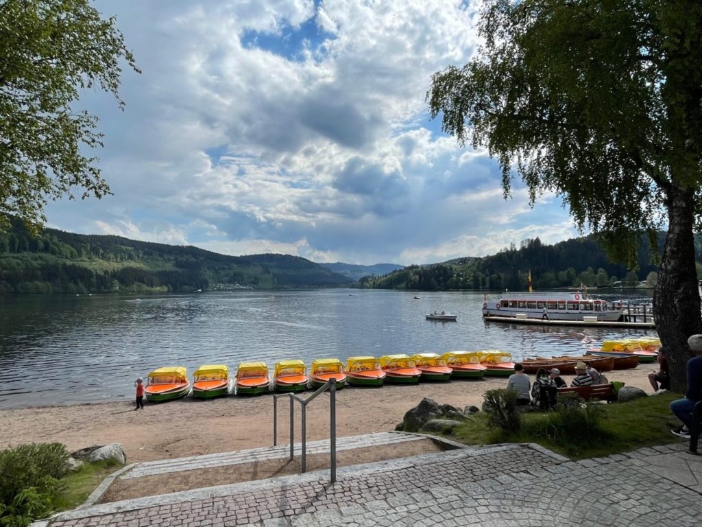 Wohnmobil Schwarzwald freistehen