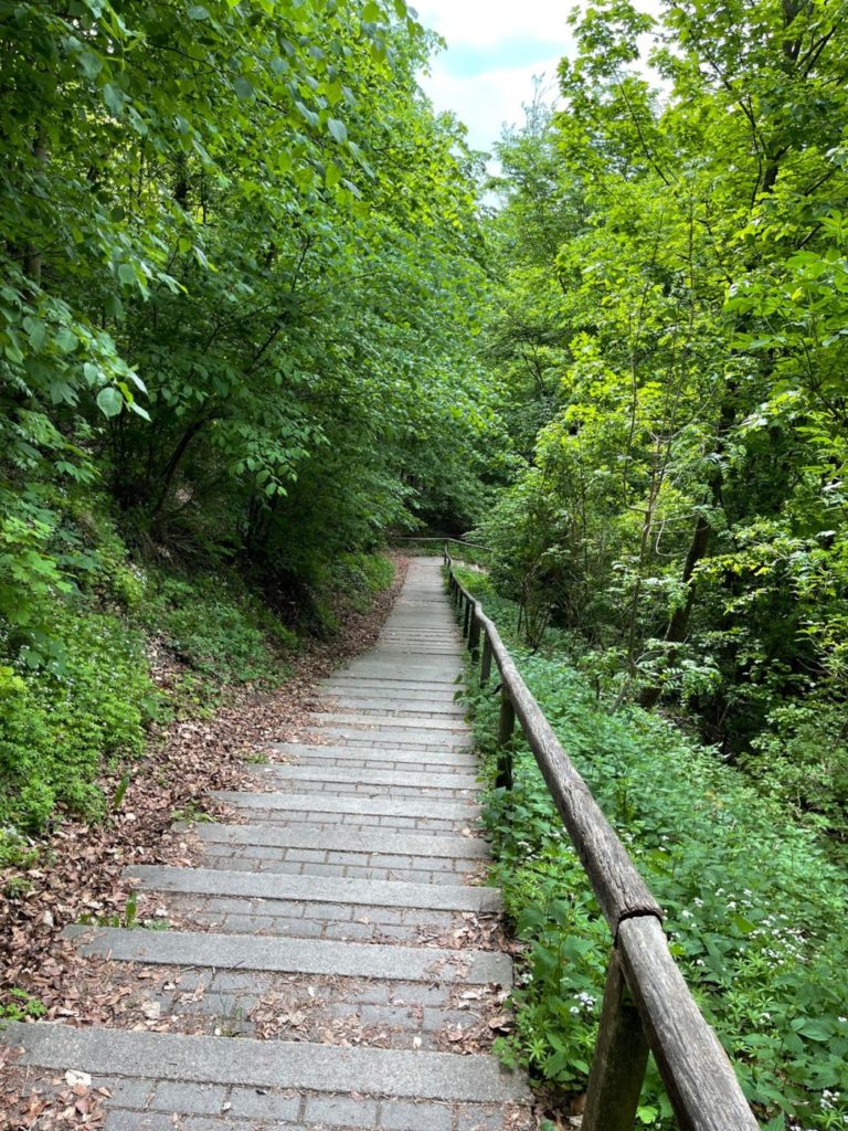 Wohnmobil Schwarzwald freistehen