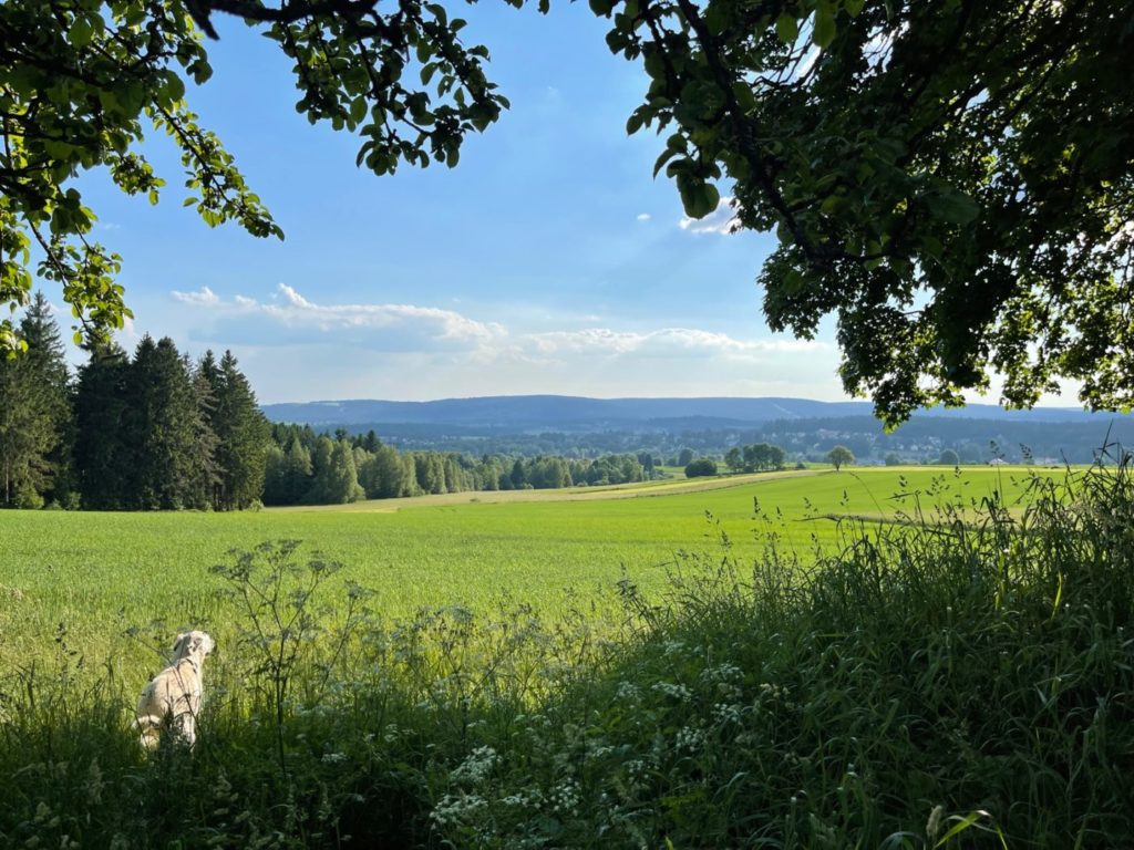 Fichtelgebirge mit dem Wohnmobil