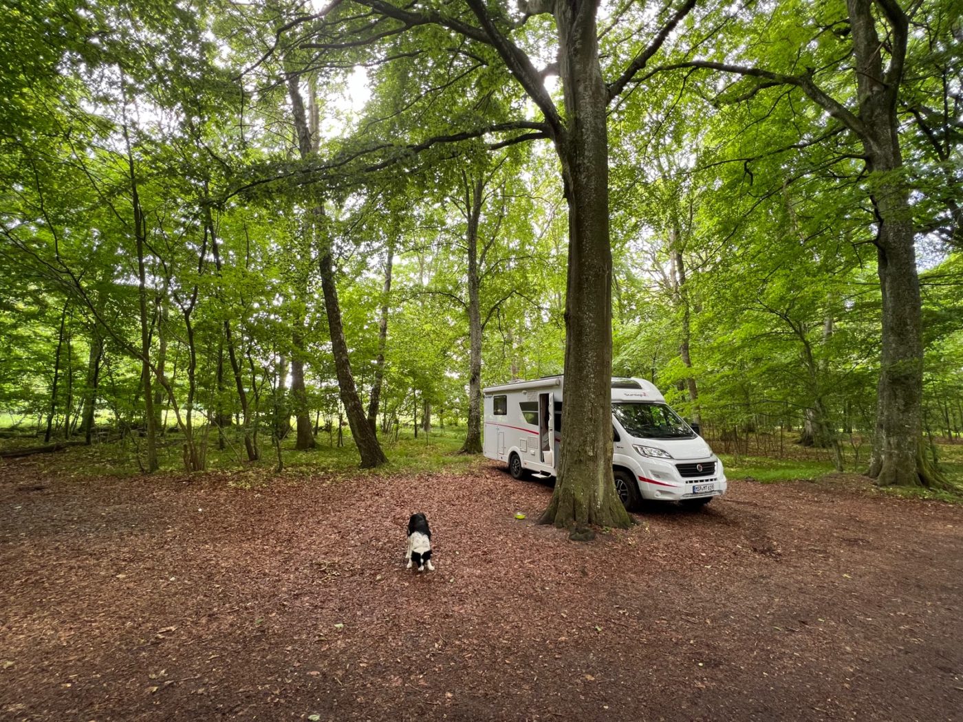 Skandinavien – Die Richtung stimmt 32 freistehen in Schweden mit Wohnmobil