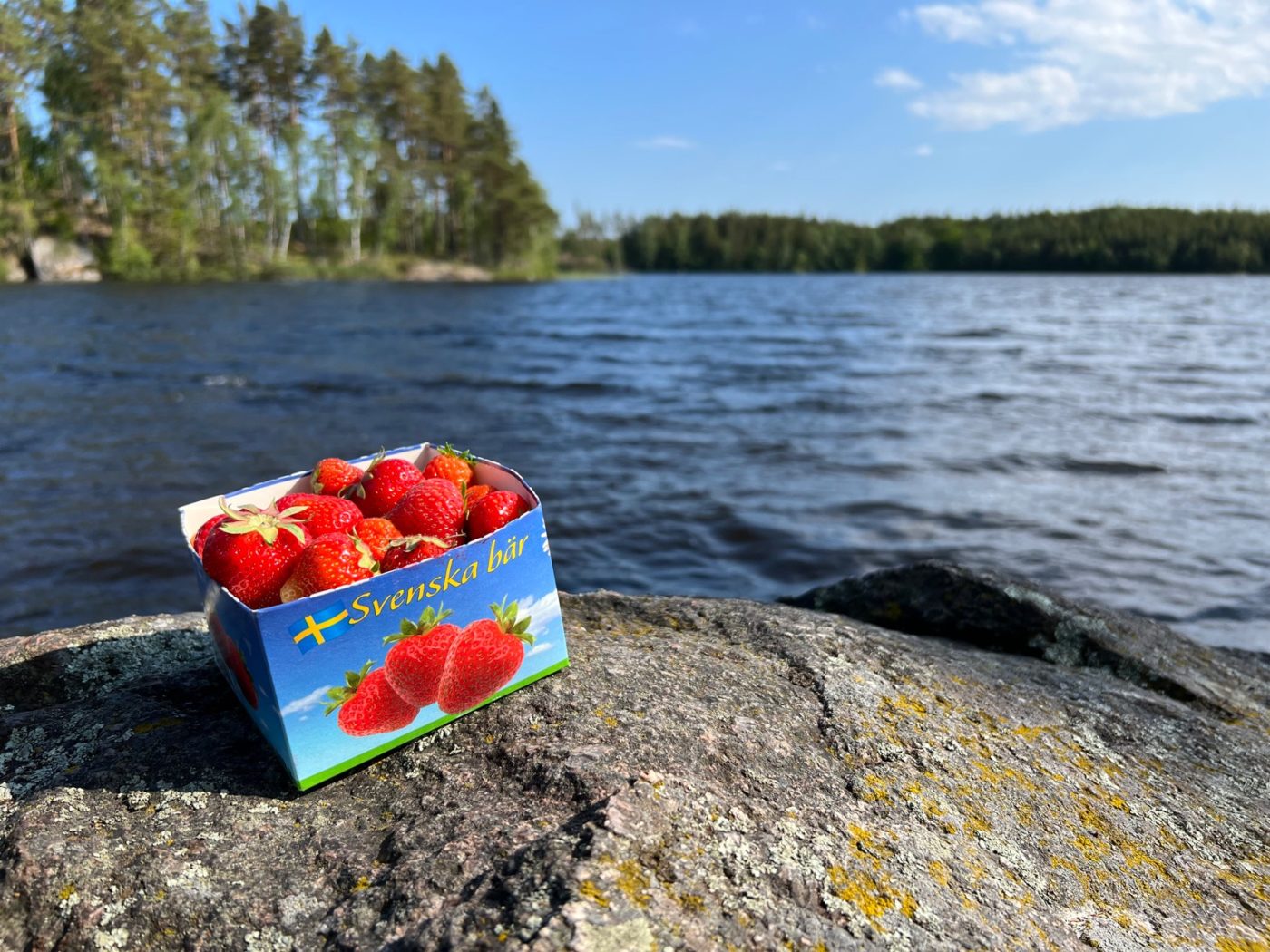 Skandinavien – Die Richtung stimmt 52 Wohnmobil in Schweden