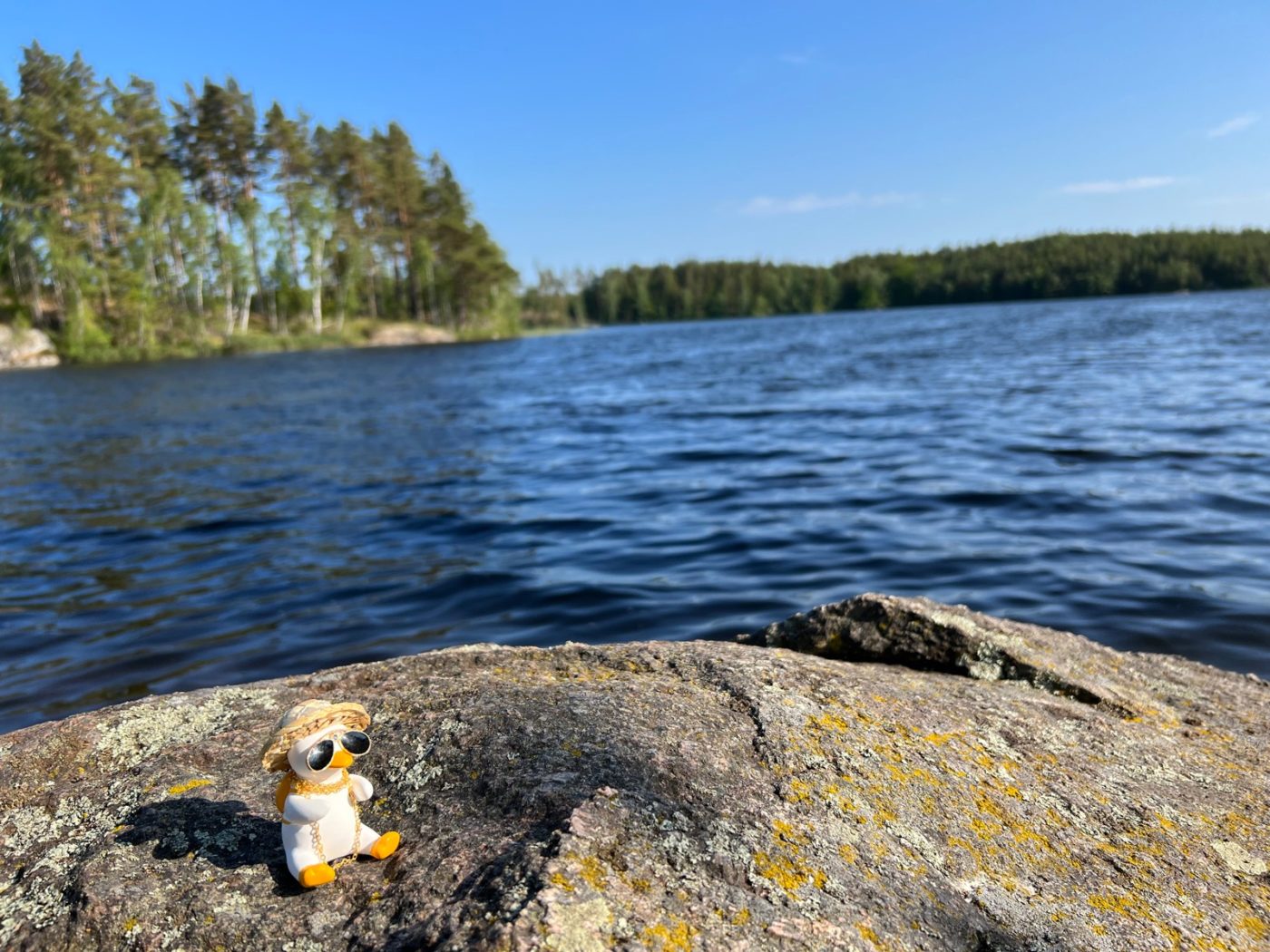 Skandinavien – Die Richtung stimmt 49 Wohnmobil in Schweden