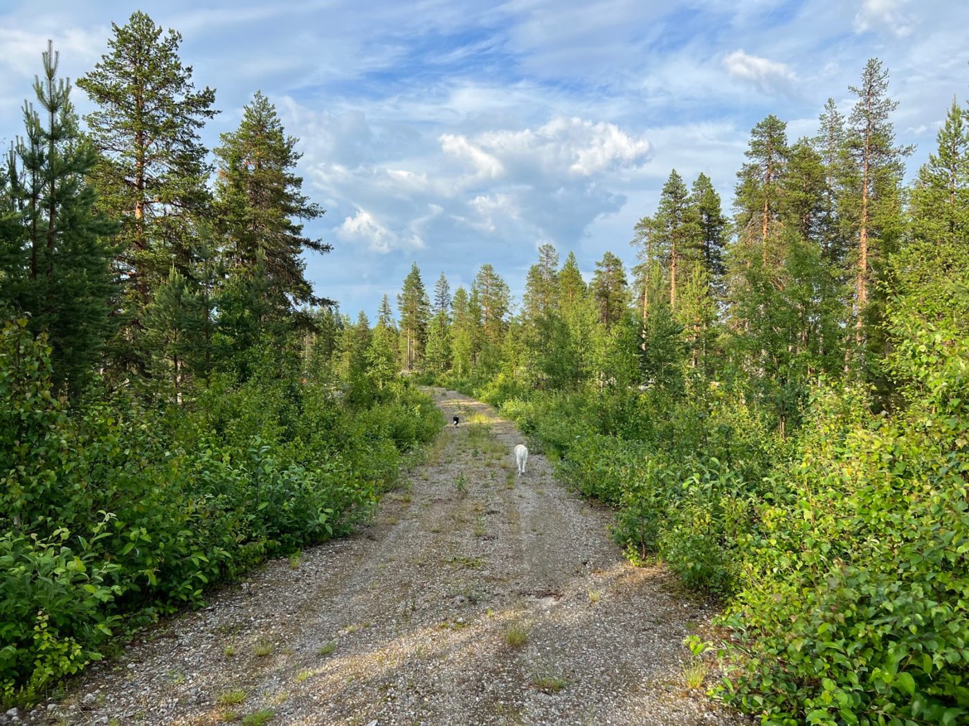 3 Lappen ziehen mit dem Wohnmobil durch Lappland 6 freistehen in Lappland