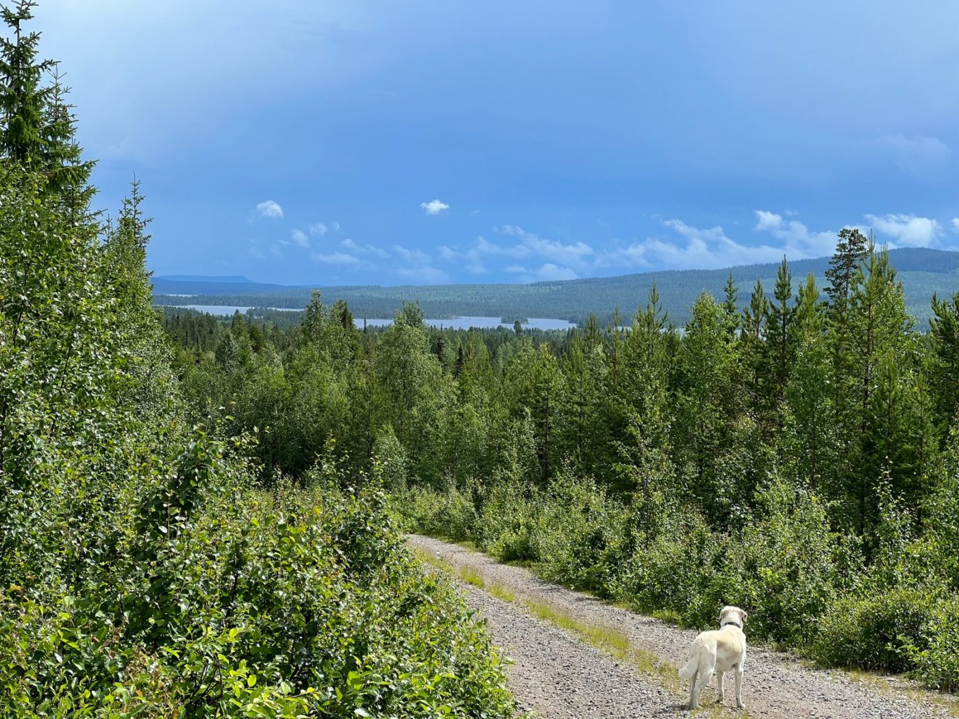 3 Lappen ziehen mit dem Wohnmobil durch Lappland 10 freistehen in Lappland
