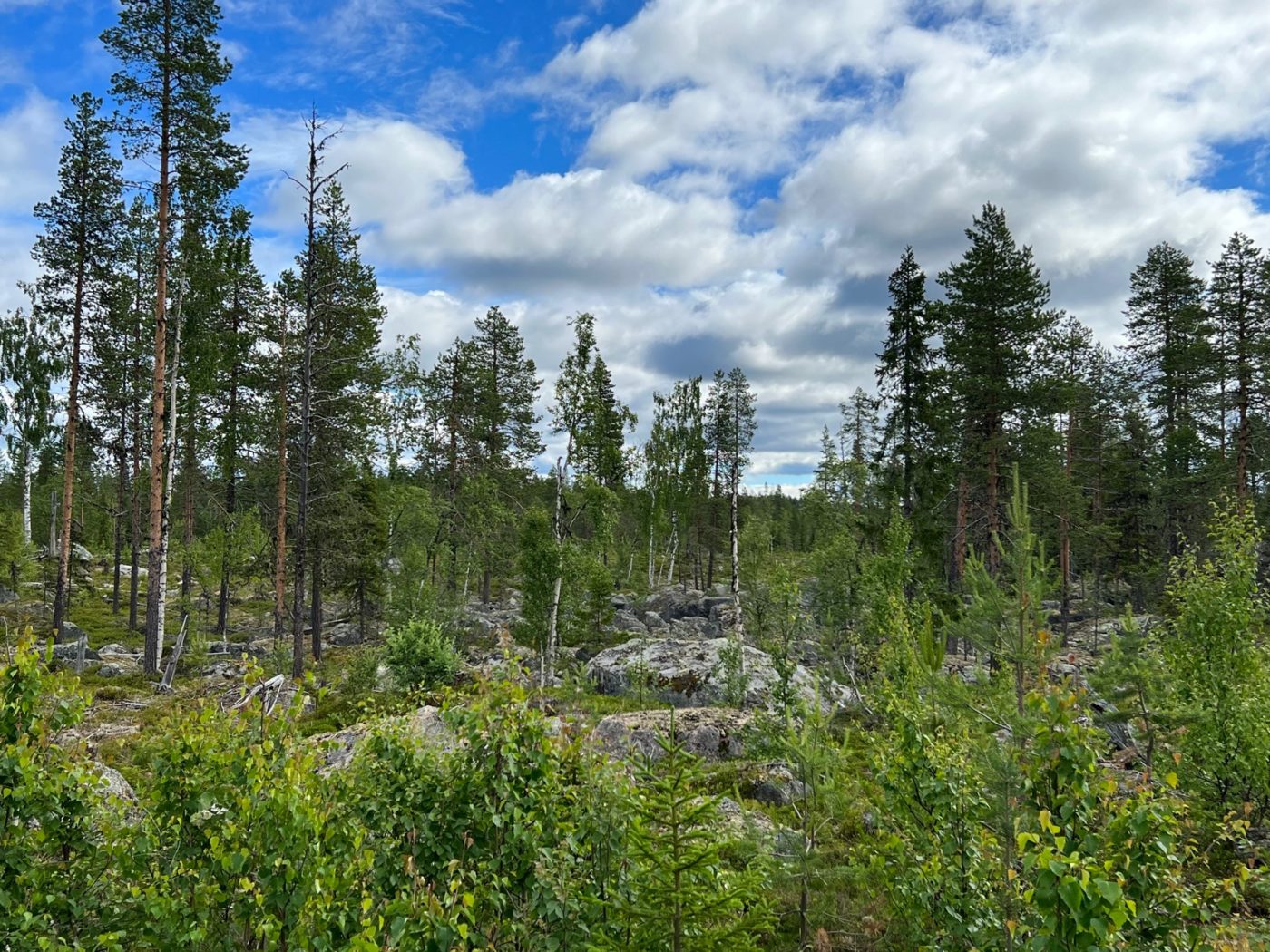 3 Lappen ziehen mit dem Wohnmobil durch Lappland 14 freistehen in Lappland
