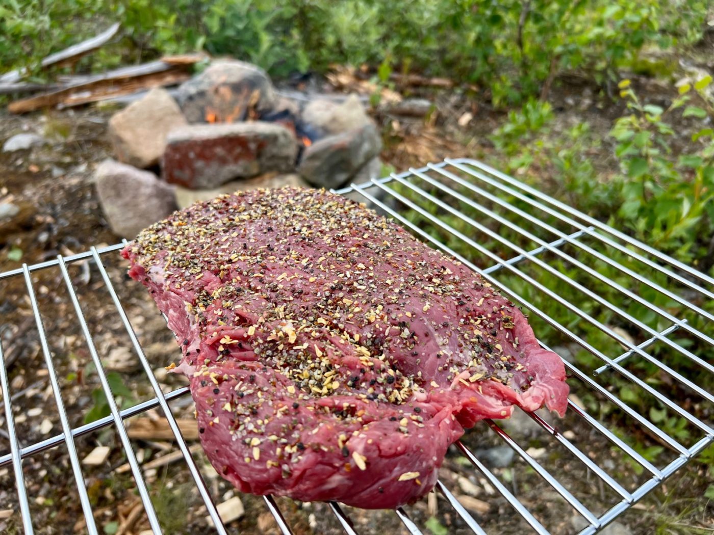 3 Lappen ziehen mit dem Wohnmobil durch Lappland 18 Flanksteak im Grünen