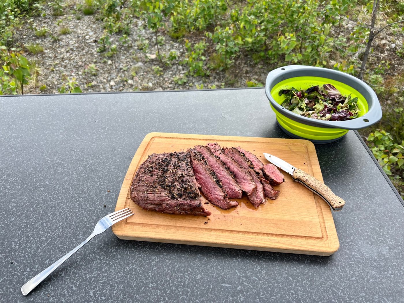 3 Lappen ziehen mit dem Wohnmobil durch Lappland 22 Flanksteak im Grünen